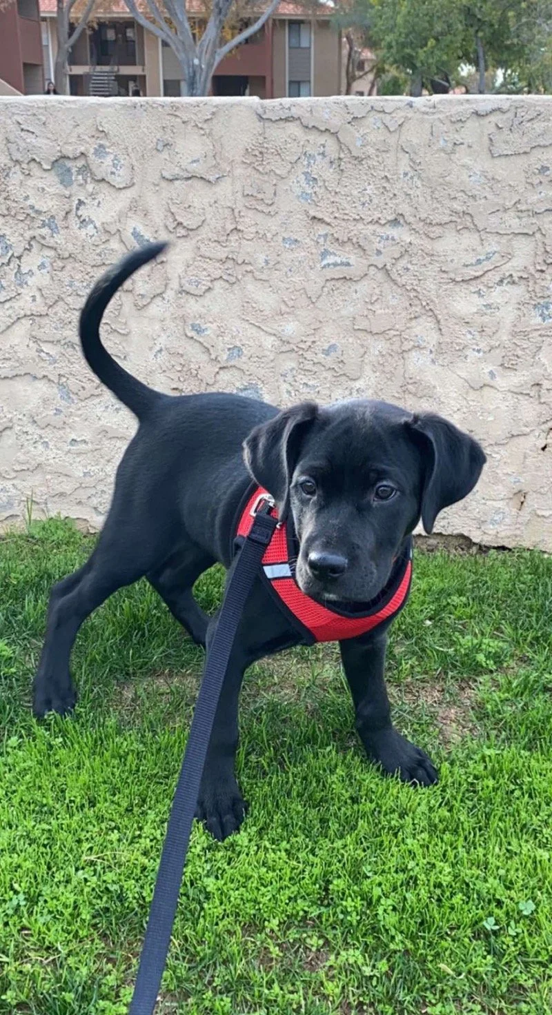 1 on 1 Training sessions