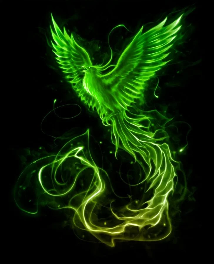Phoenix Rising- Ignite your spark, Rebuild the Self, Reclaim the Joy that was always YOURS