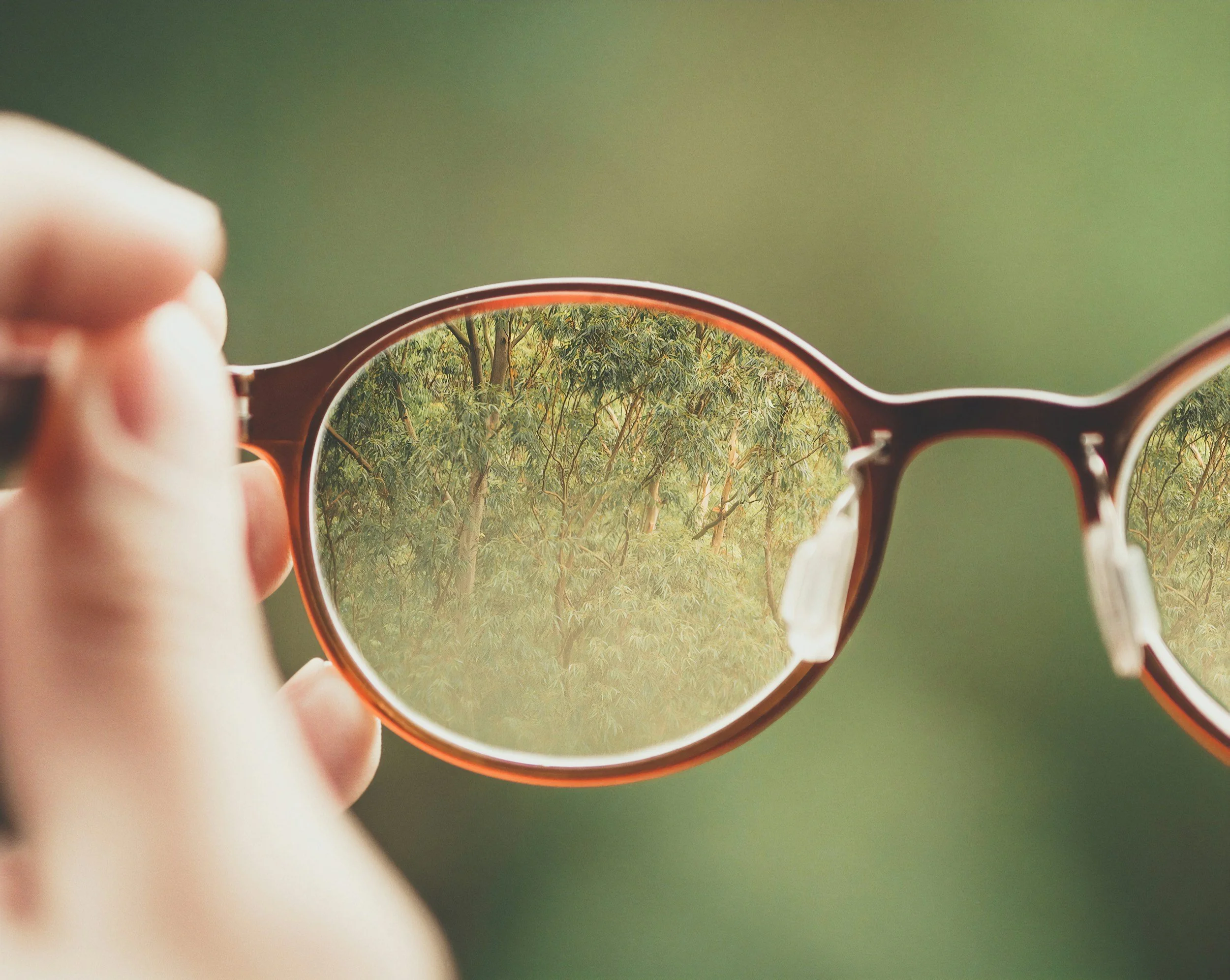 A person holding a pair of glasses, with the lenses reflecting a scene of forest trees with green leaves.