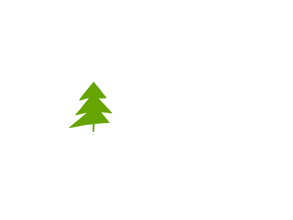 Timber Entertainment