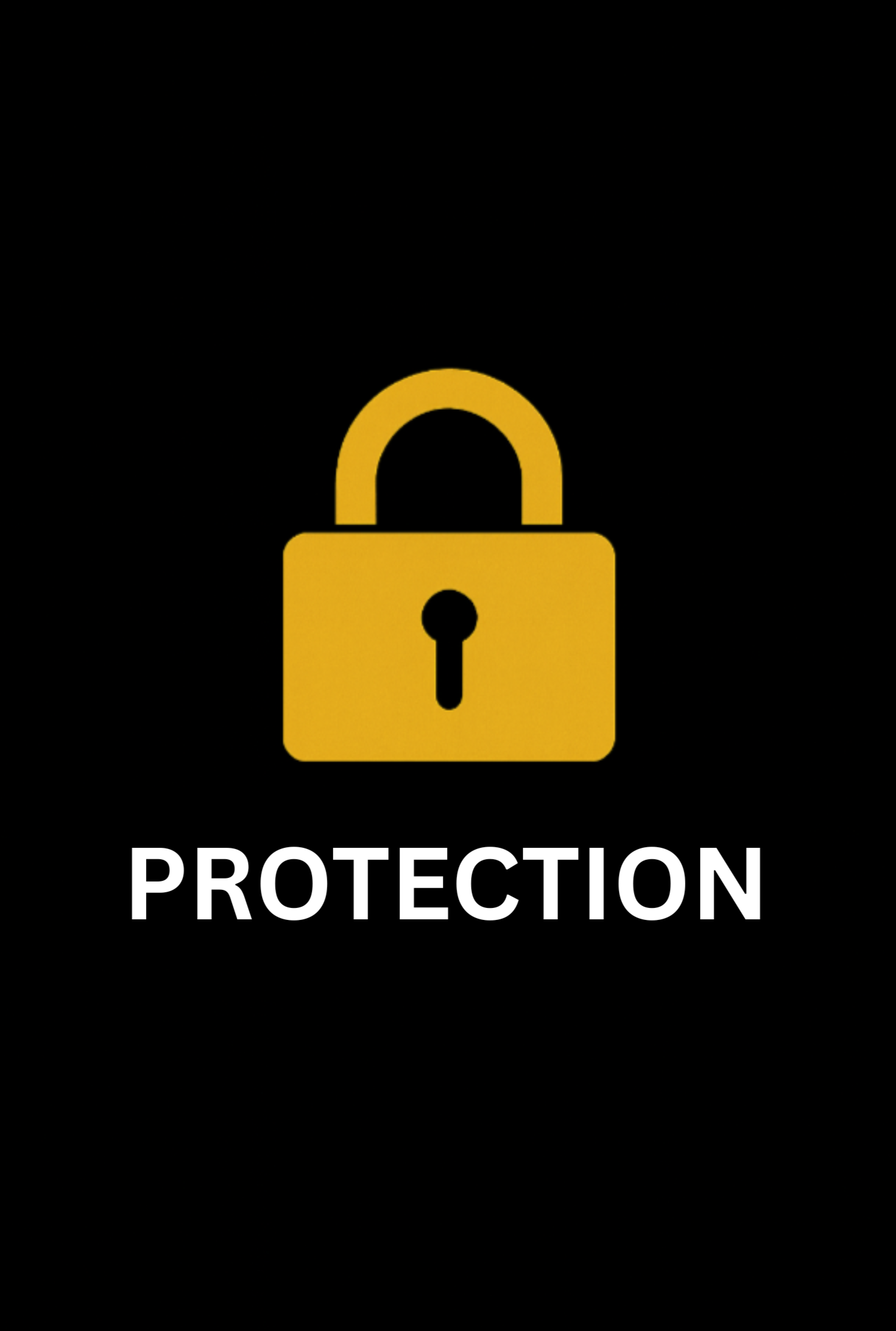 Item Protection (Add-On) — $25