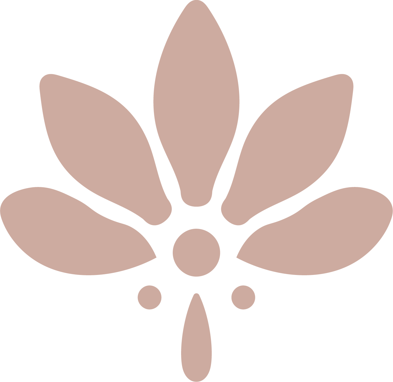 A minimalist graphic of a butterfly with beige wings and body on a black background.