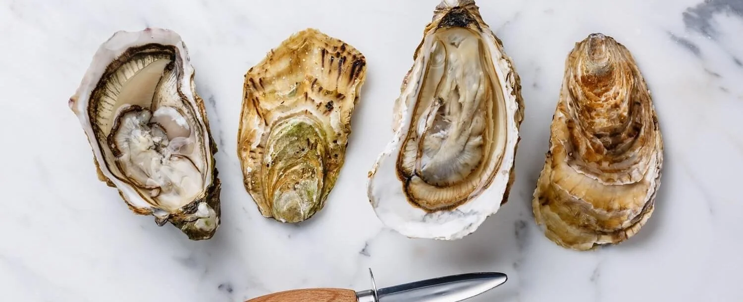 Oyster Roast and Wine Tasting!