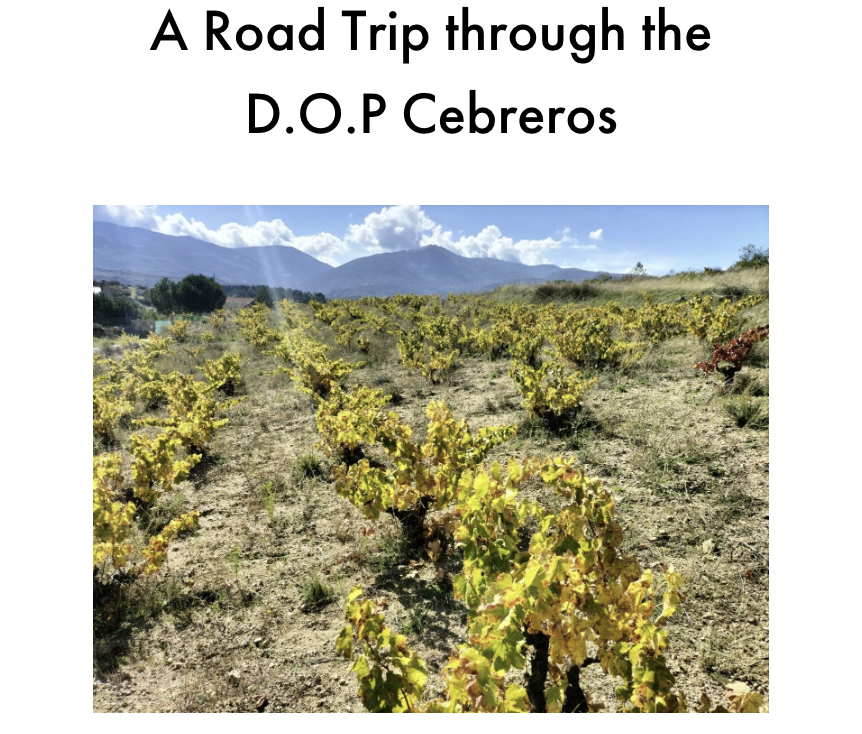 Article: A Road Trip Through the D.O.P. Cebreros