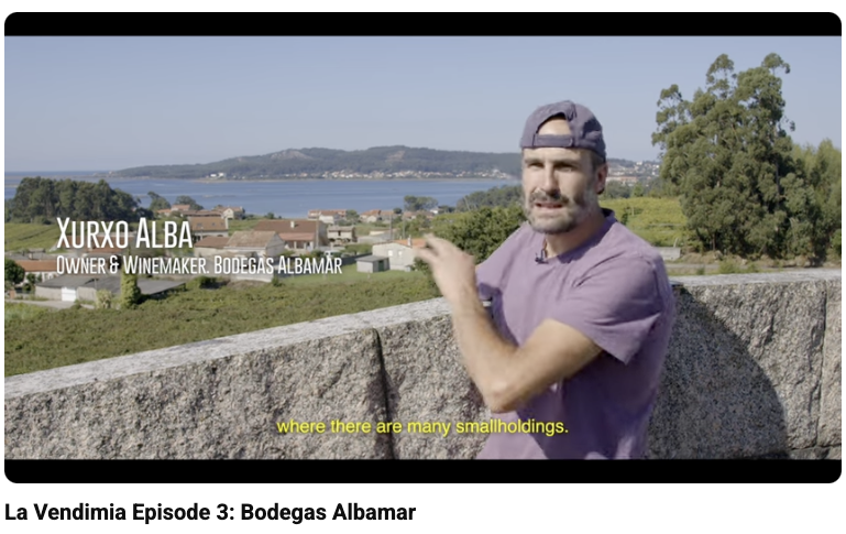 Video: Bodegas Albamar Video