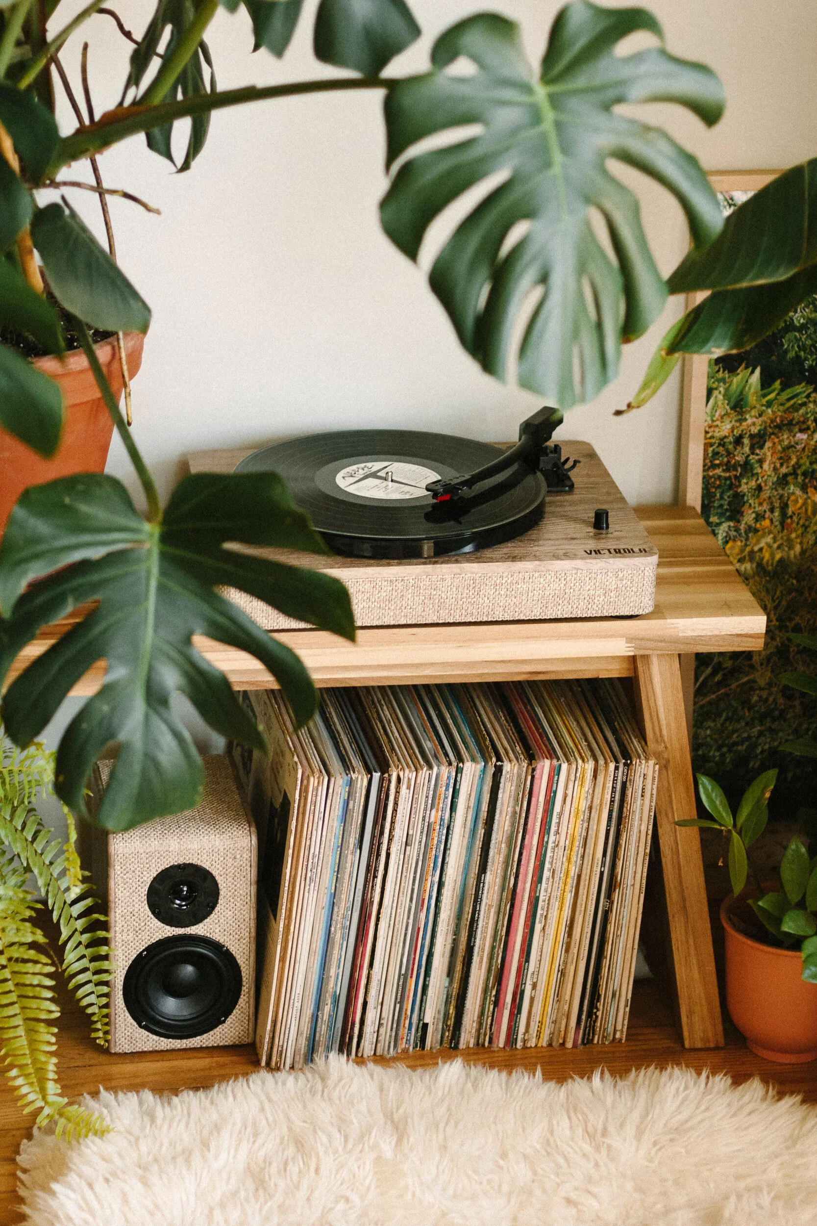 A turntable on a wooden stand surrounded by pot plants, with a collection of vinyl records stored beneath and a speaker nearby.