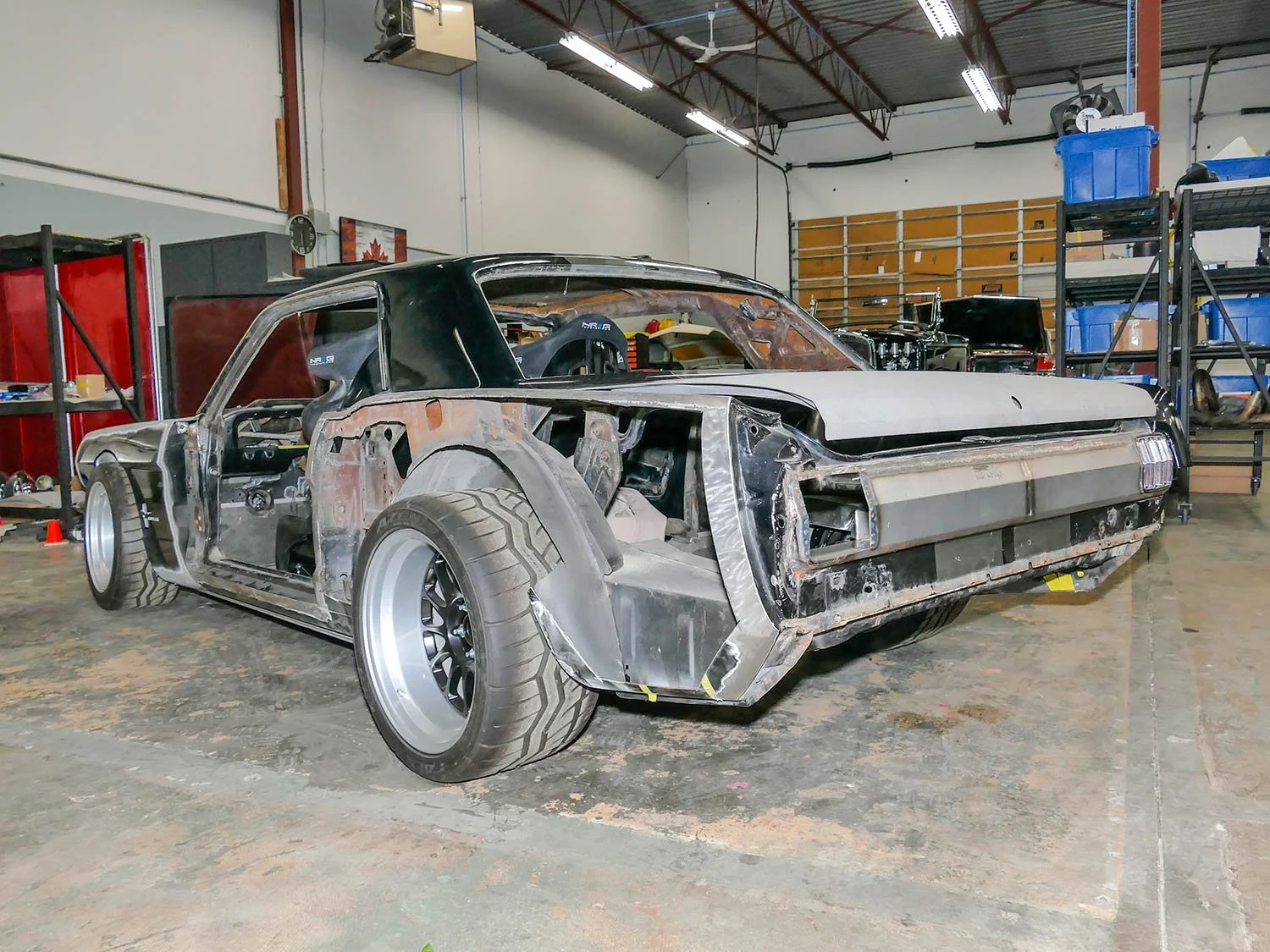 Targa_3930417.jpg