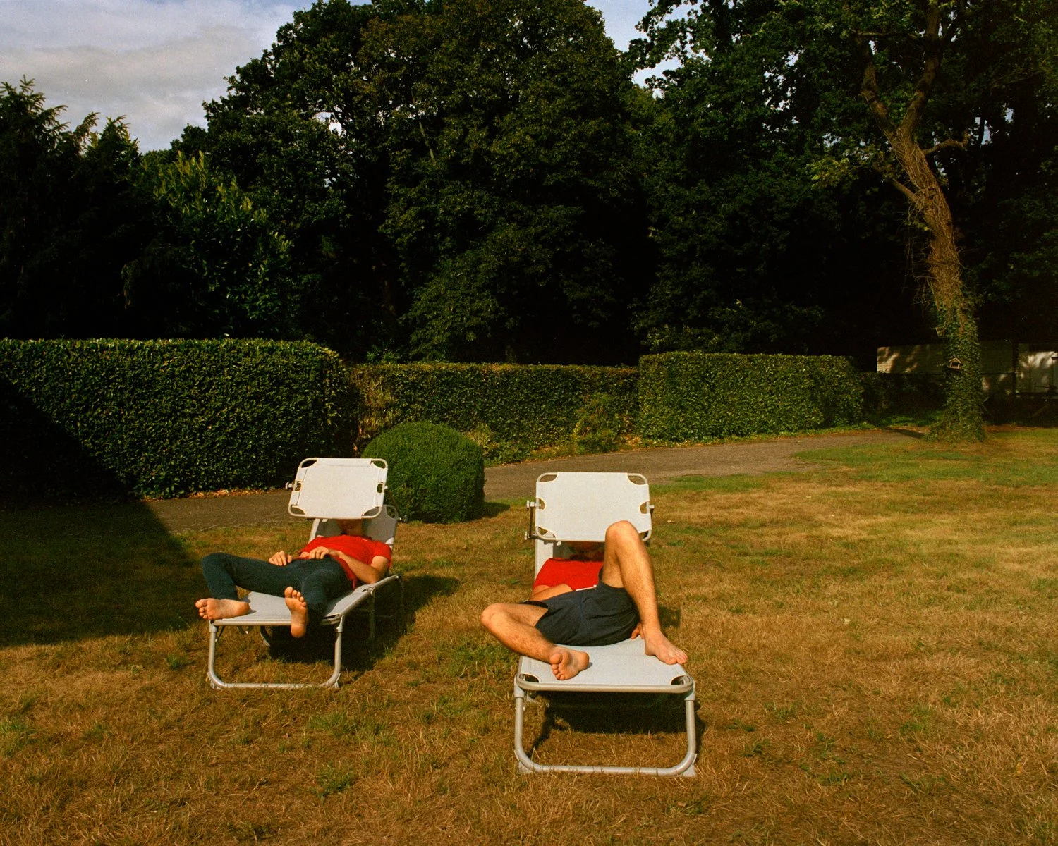 to be from the same tree