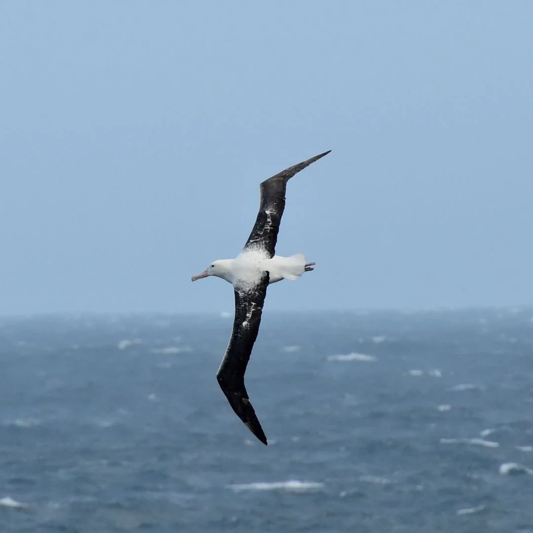 Space-themed painting featuring a rocket, planets, and astronauts, with handwritten text and childlike drawings of children and animals.