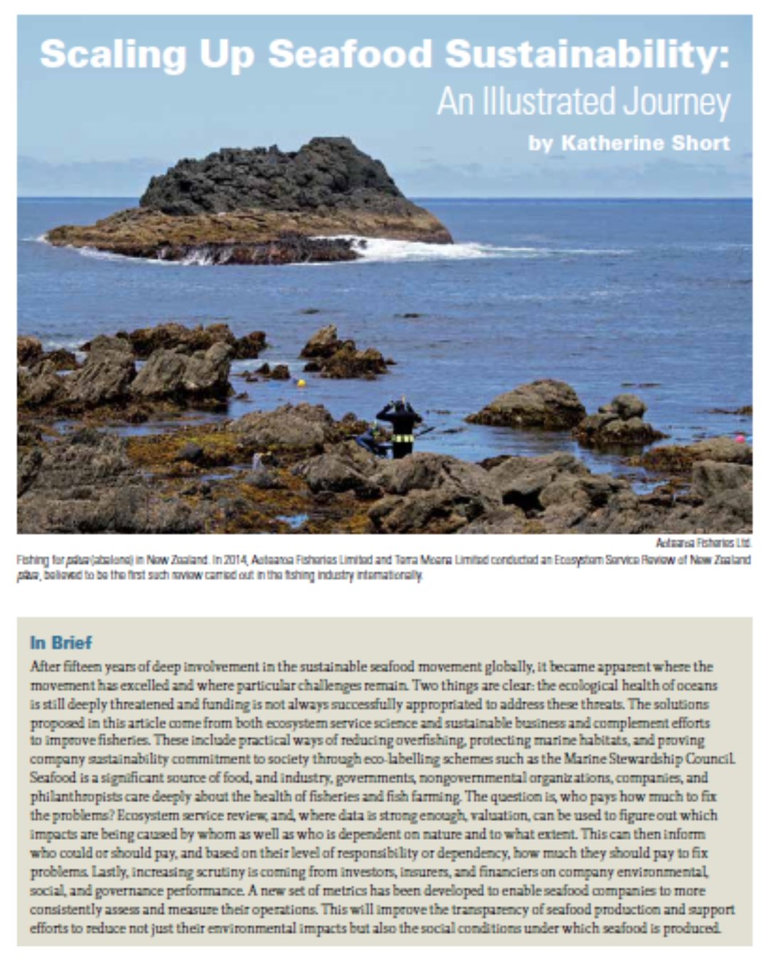Cover photo of a publication titled 'Scaling Up Seafood Sustainability: An Illustrated Journey' by Katherine Short, featuring a rocky shoreline with an island in the background and a person in a wetsuit fishing in the foreground.