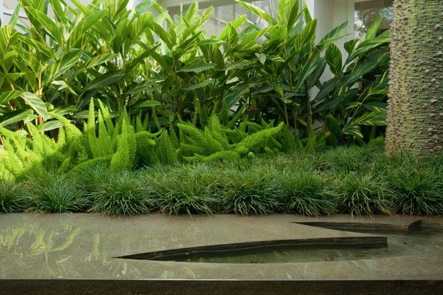 garden landscaping Southern California