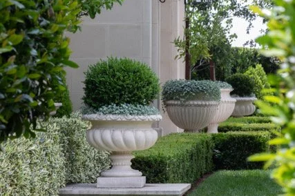 Three large decorative planters with green plants on a stone ledge in a garden.
