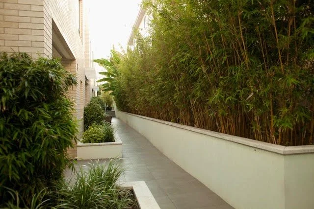 commercial-landscapes-los-angeles-picture-perfect-2.jpeg