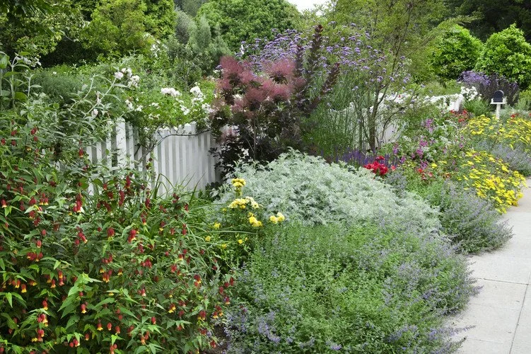 Landscape Design & Architecture Los Angeles