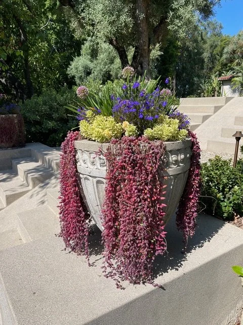 custom planters in Los Angeles
