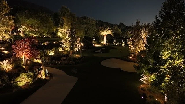 PALM HILL BACKYARD 3.jpeg
