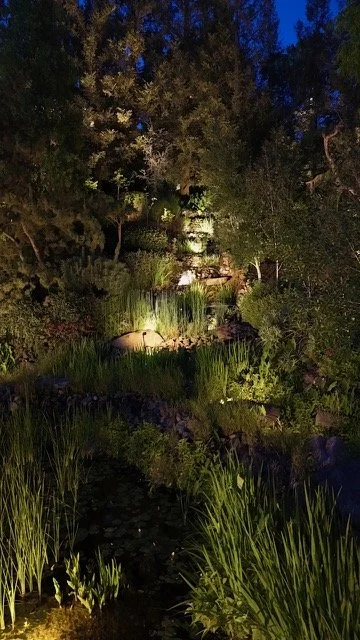 POND VERTICAL.jpeg