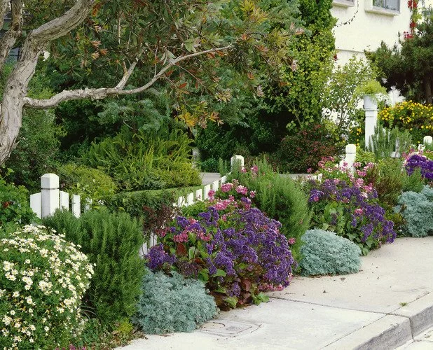 best landscaper in Los Angeles