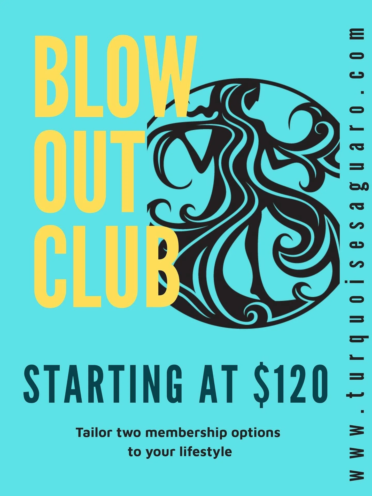 Saguaro club $120 ($150 Thick, extra long or extensions)
2 Oribe blowouts.:.1 Oribe deep conditioning treatment OR 1 Brazilian Blowout Split end treatment.:. FREE BIRTHDAY BLOWOUT

Desert luxe club $200 ($250 Thick, extra long or extensions)
4 Oribe 