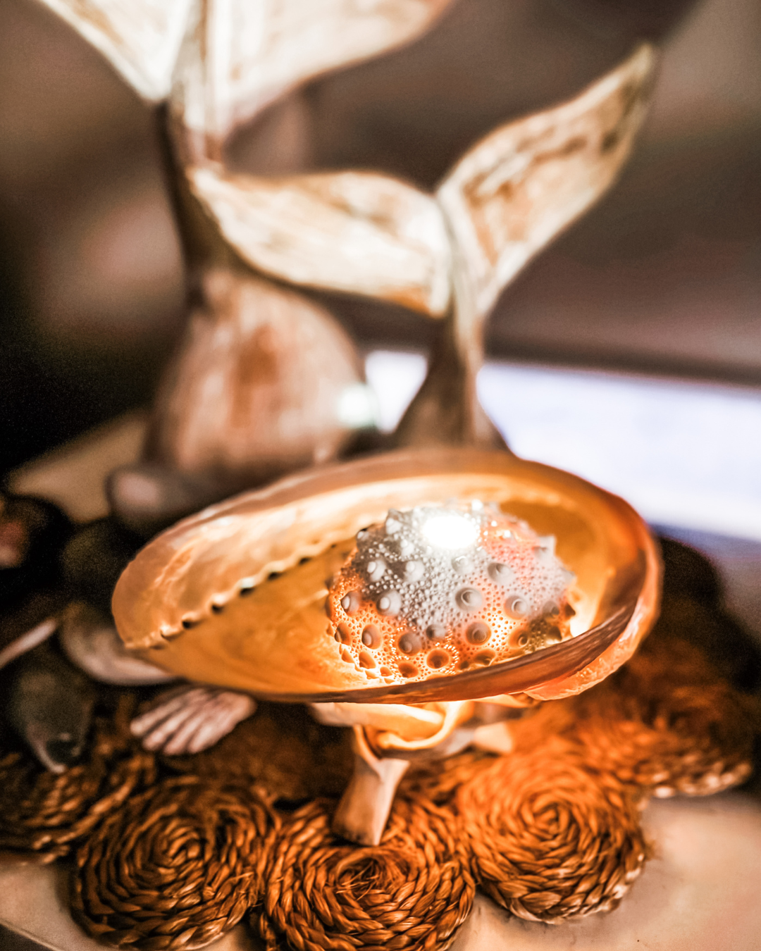 Close-up of a lit abalone seashell lamp, with other shells and decorative elements in the background.