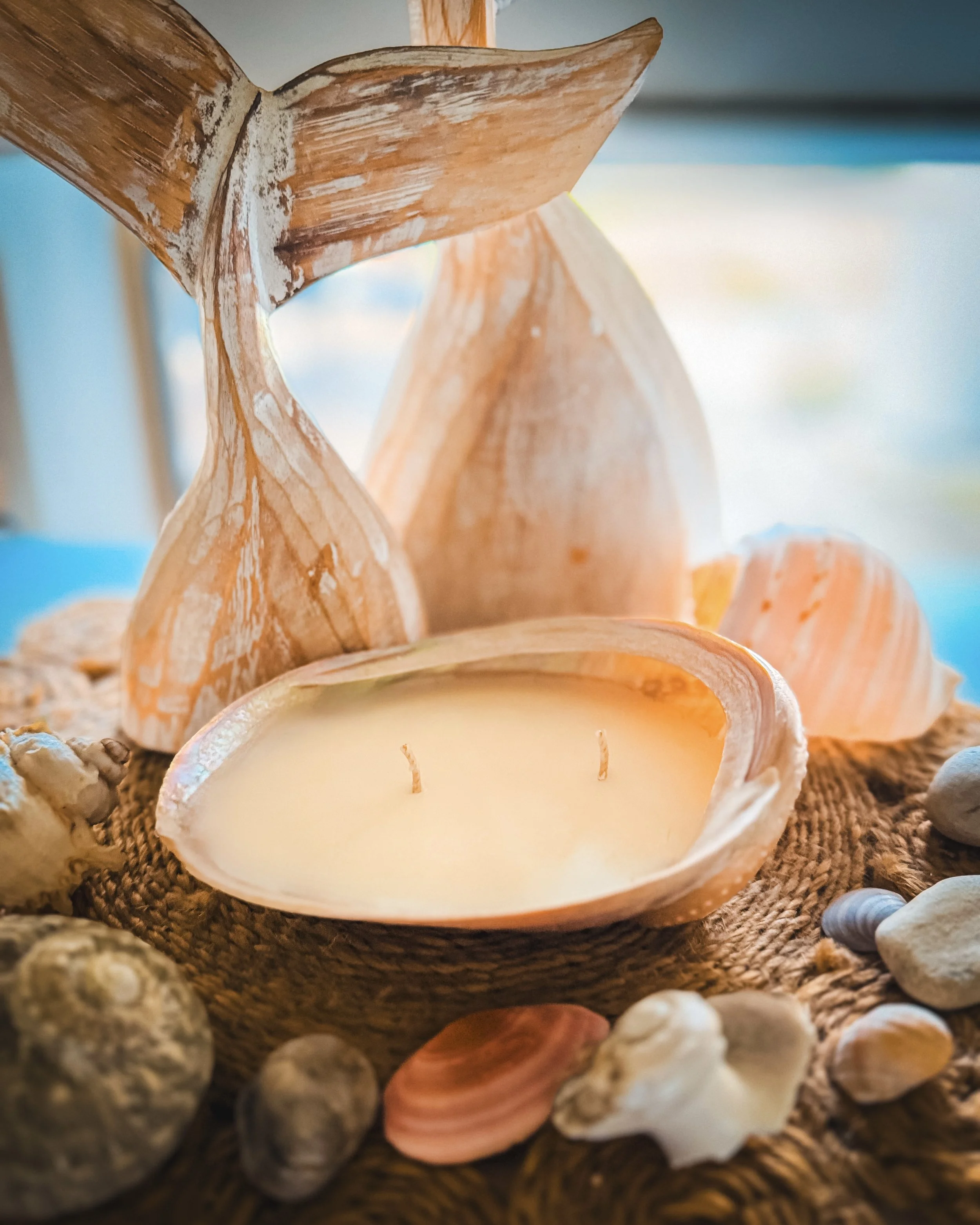 Handcrafted Abalone Shell Candle