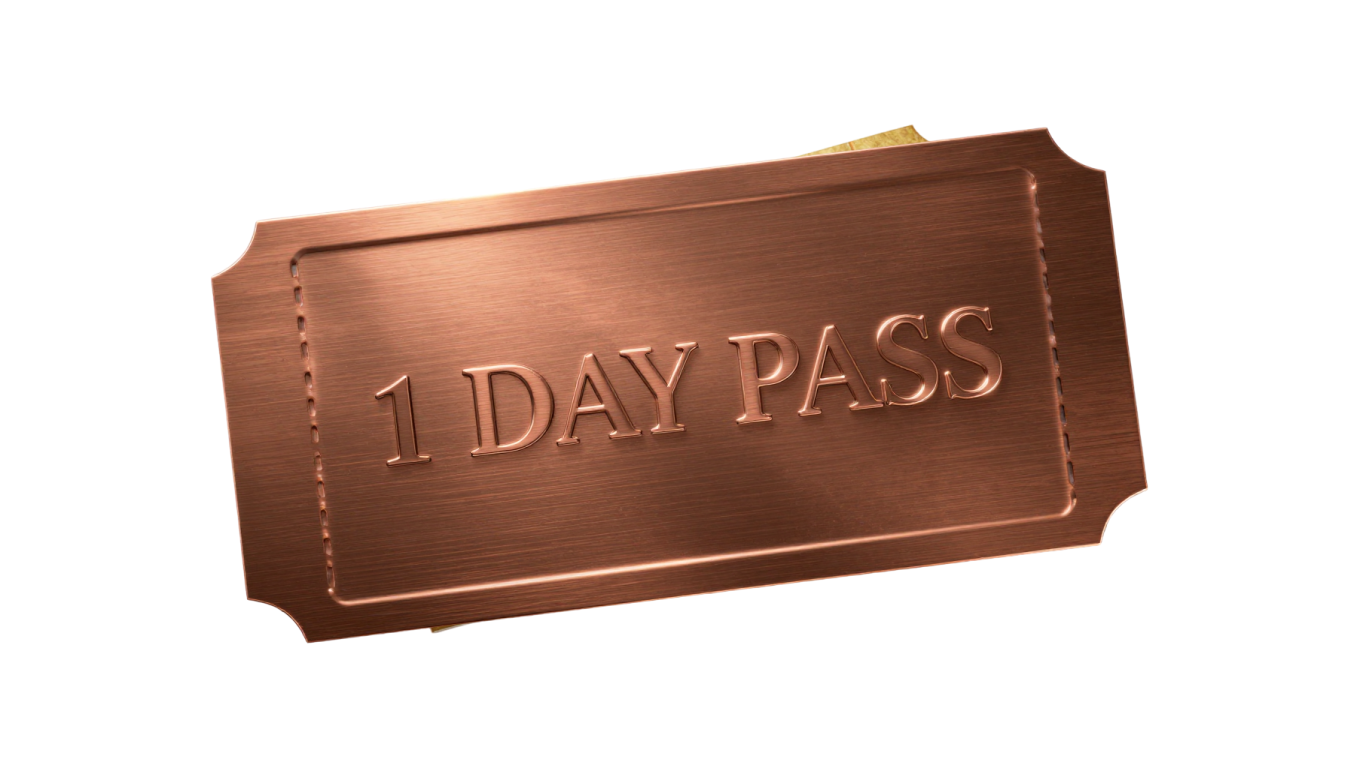 Bronze 1 Day Pass.png