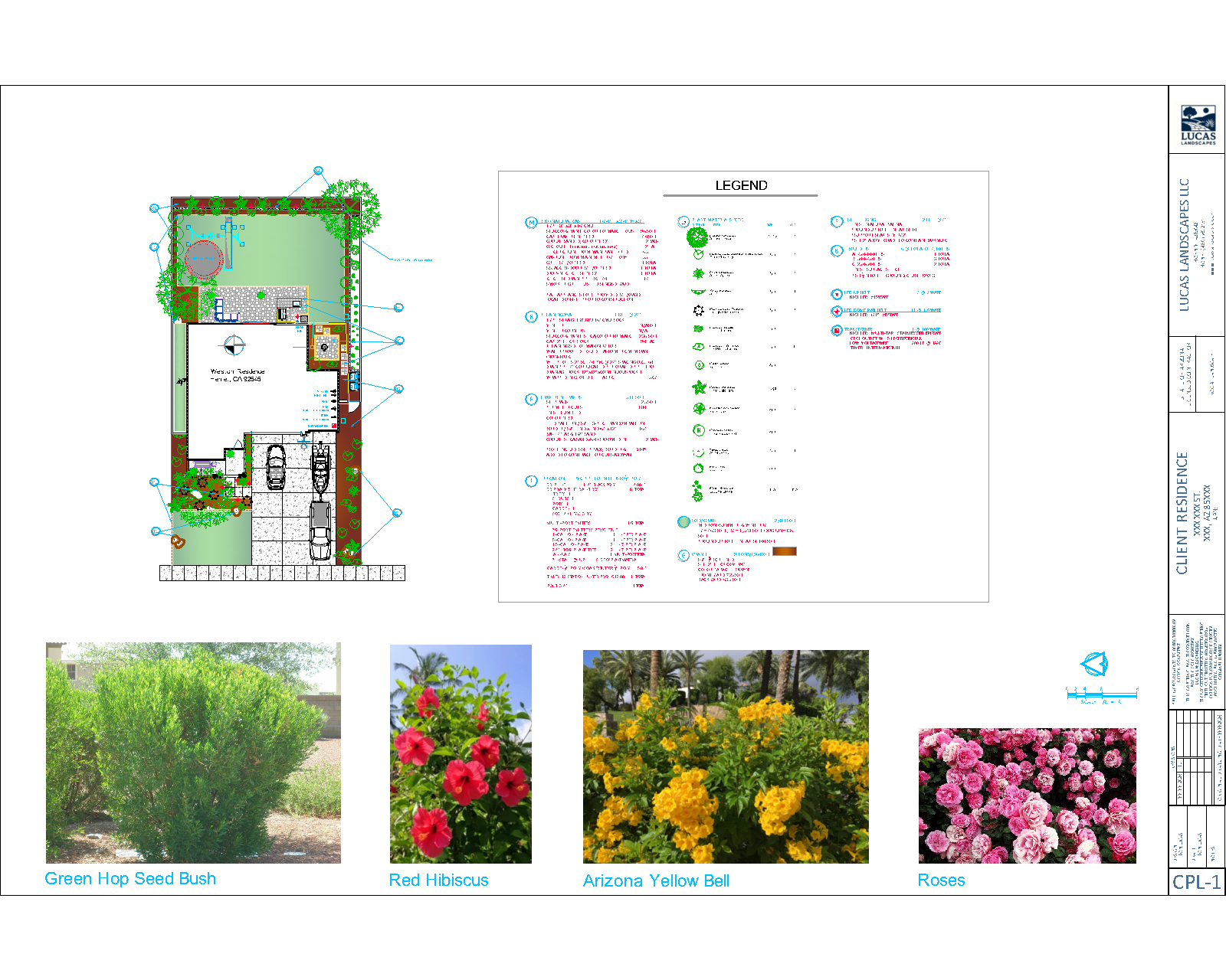 Weston-CPL-1 (marketing).png