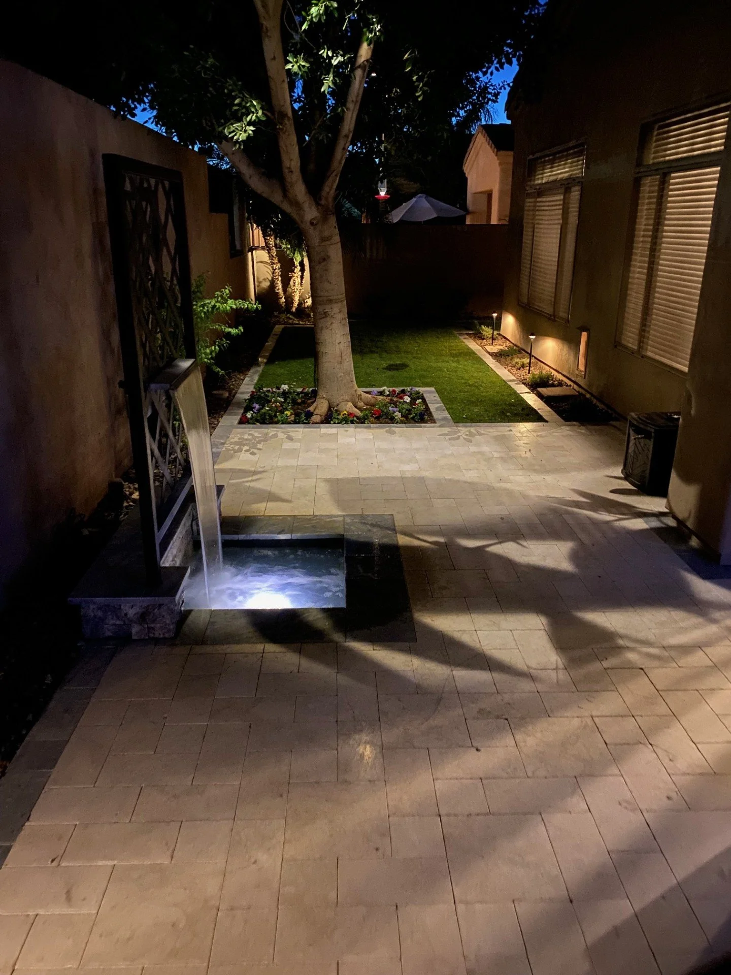 My backyard night.jpg