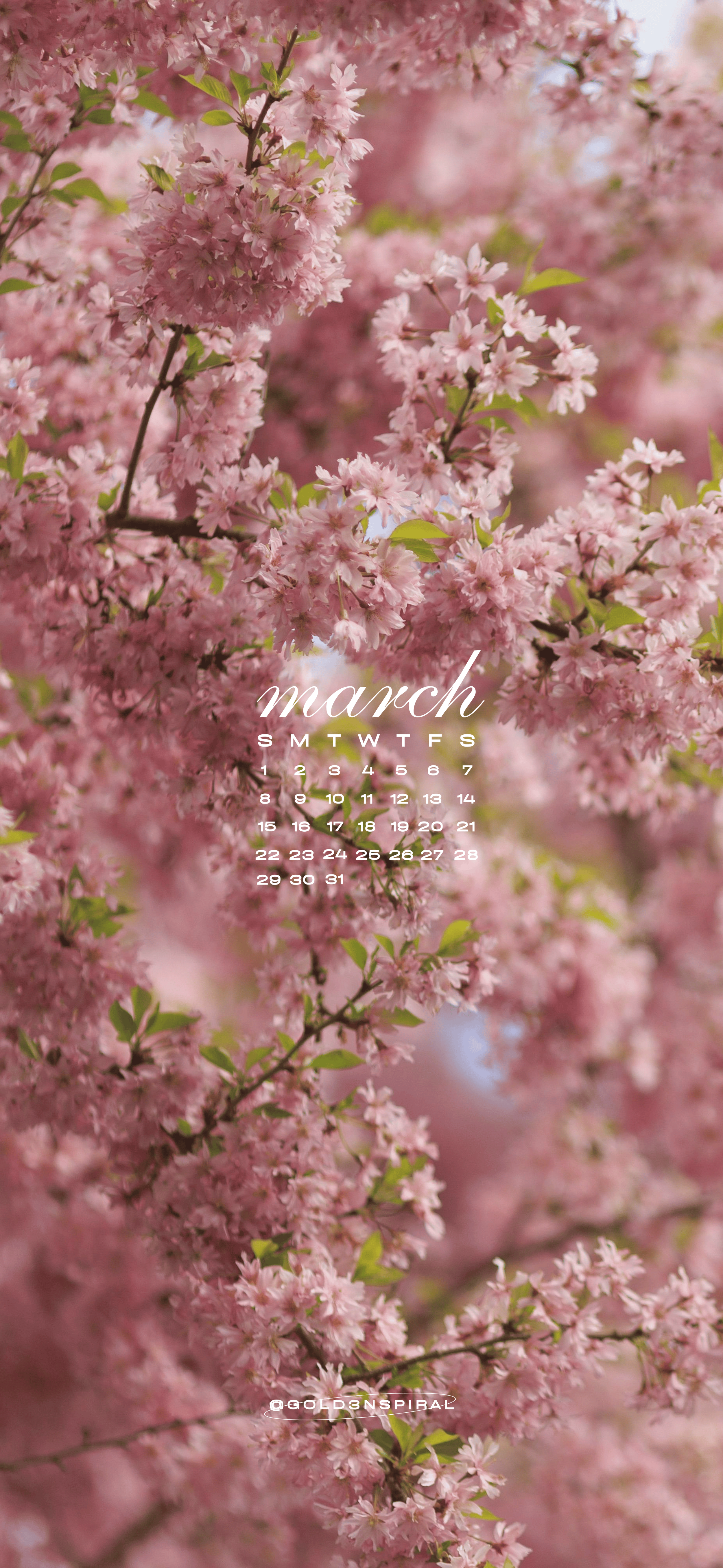 MARCH WALLPAPERS iPhone (4).png