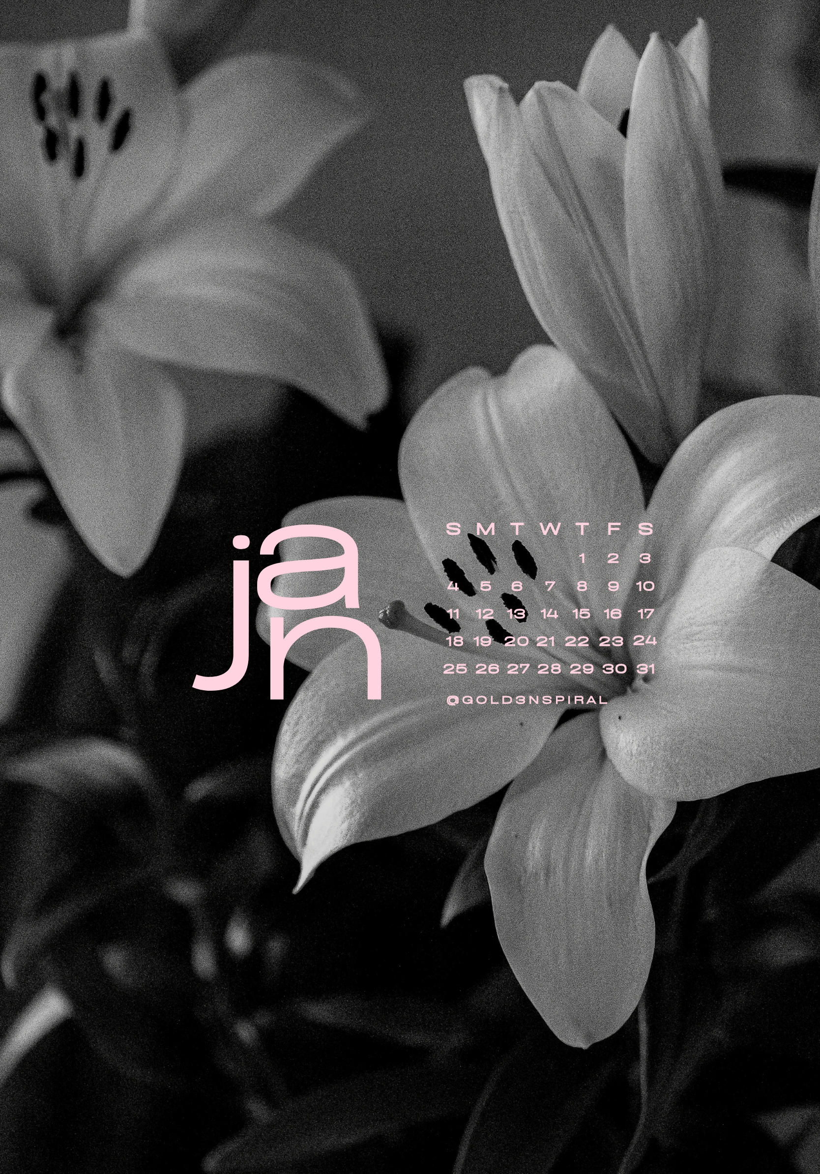 january wallpapers - ipad.png