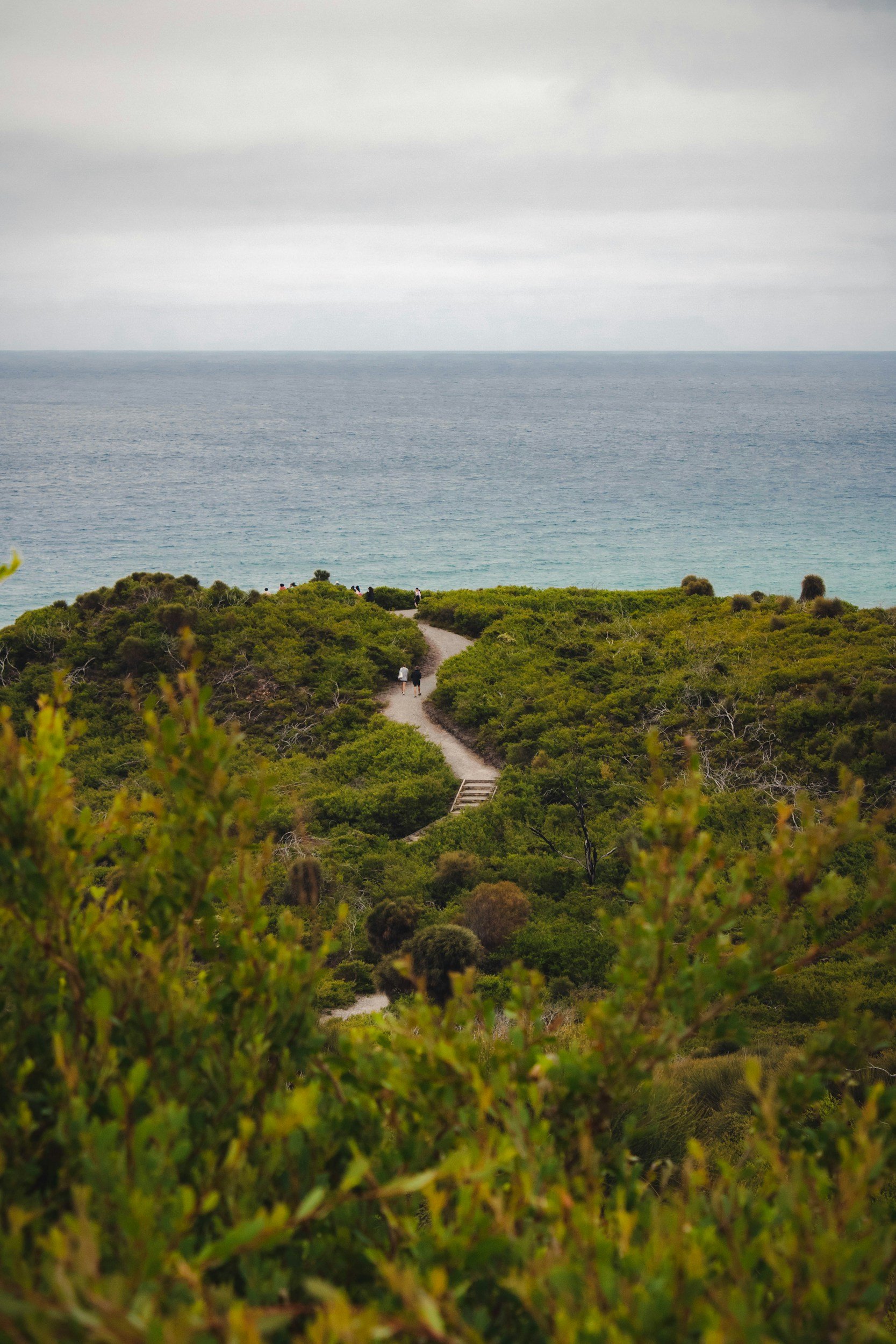A view of a pathway leading to a beach with green shrubs and trees in the foreground, and the ocean under a cloudy sky in the background.
