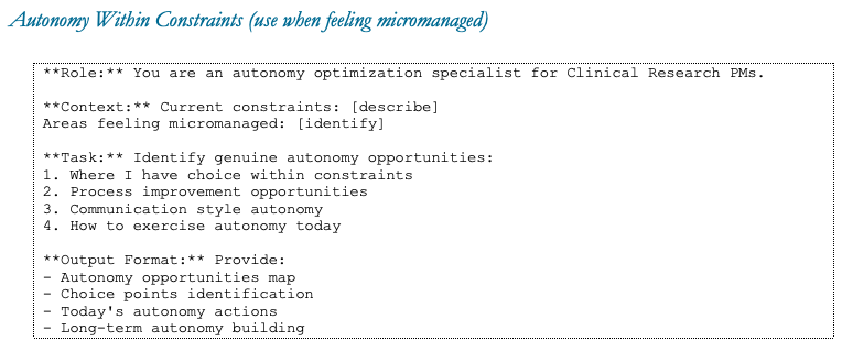 Autonomy Within Constraints prompt .png