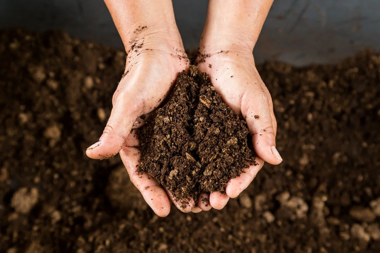 Healing Soil - Healing Self