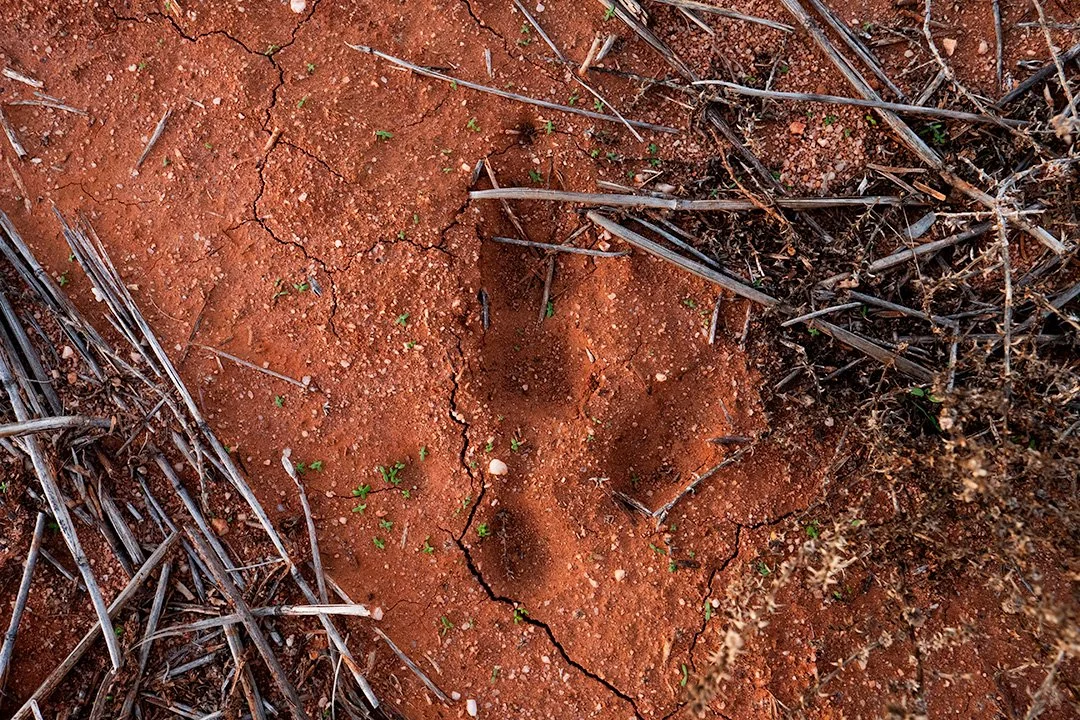 A Story Older Than Maps