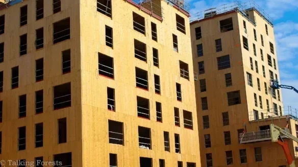 France’s Tallest Wood Buildings to be Built on a City Block