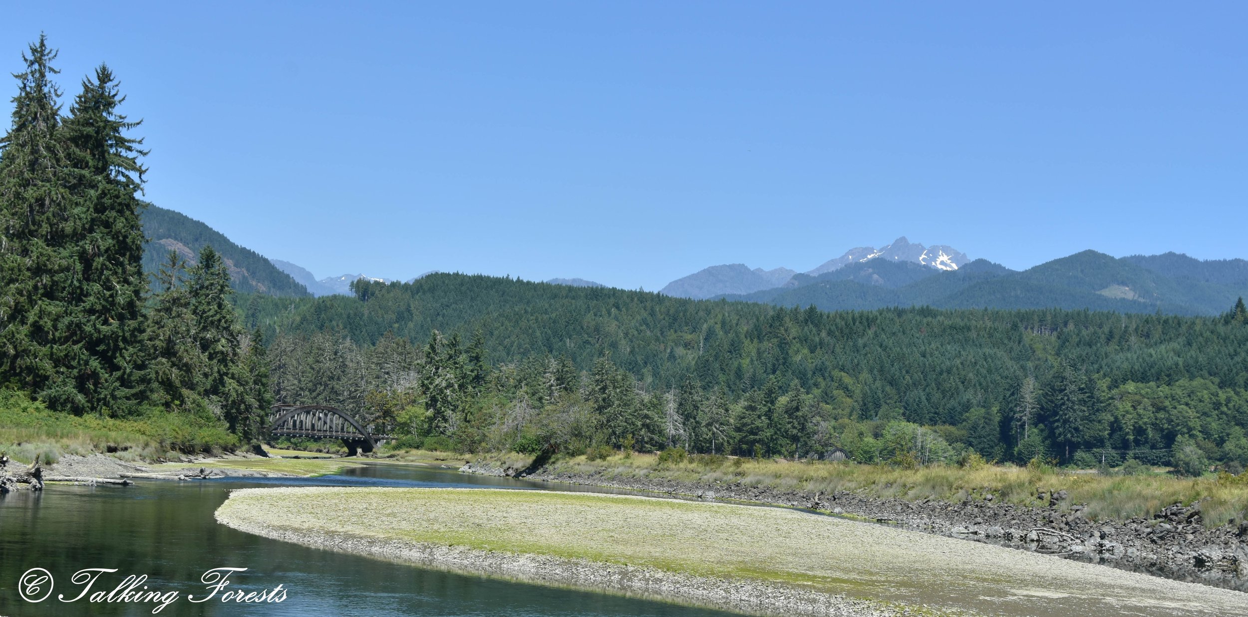 2025ONPHammaHamma (34 of 50).jpg