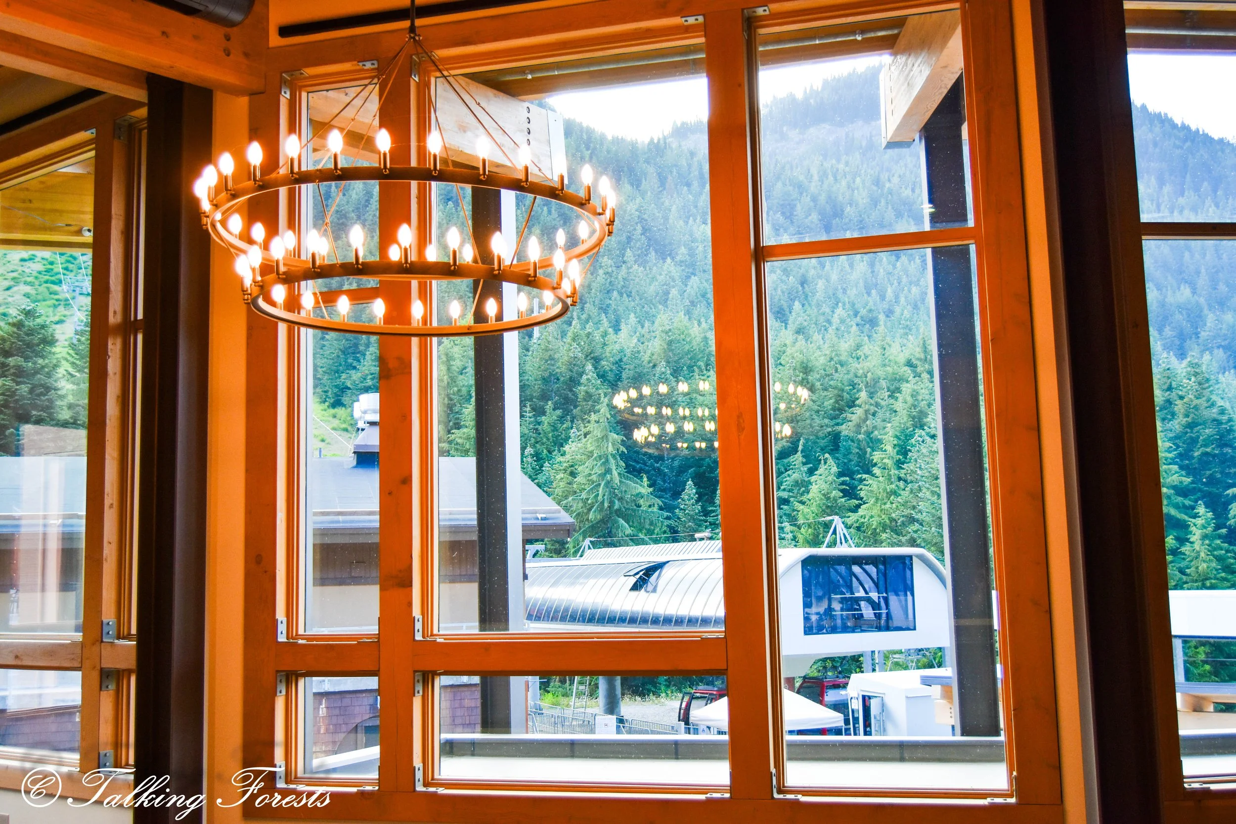 Scenic Windows Crsytal Mountain Mass Timber