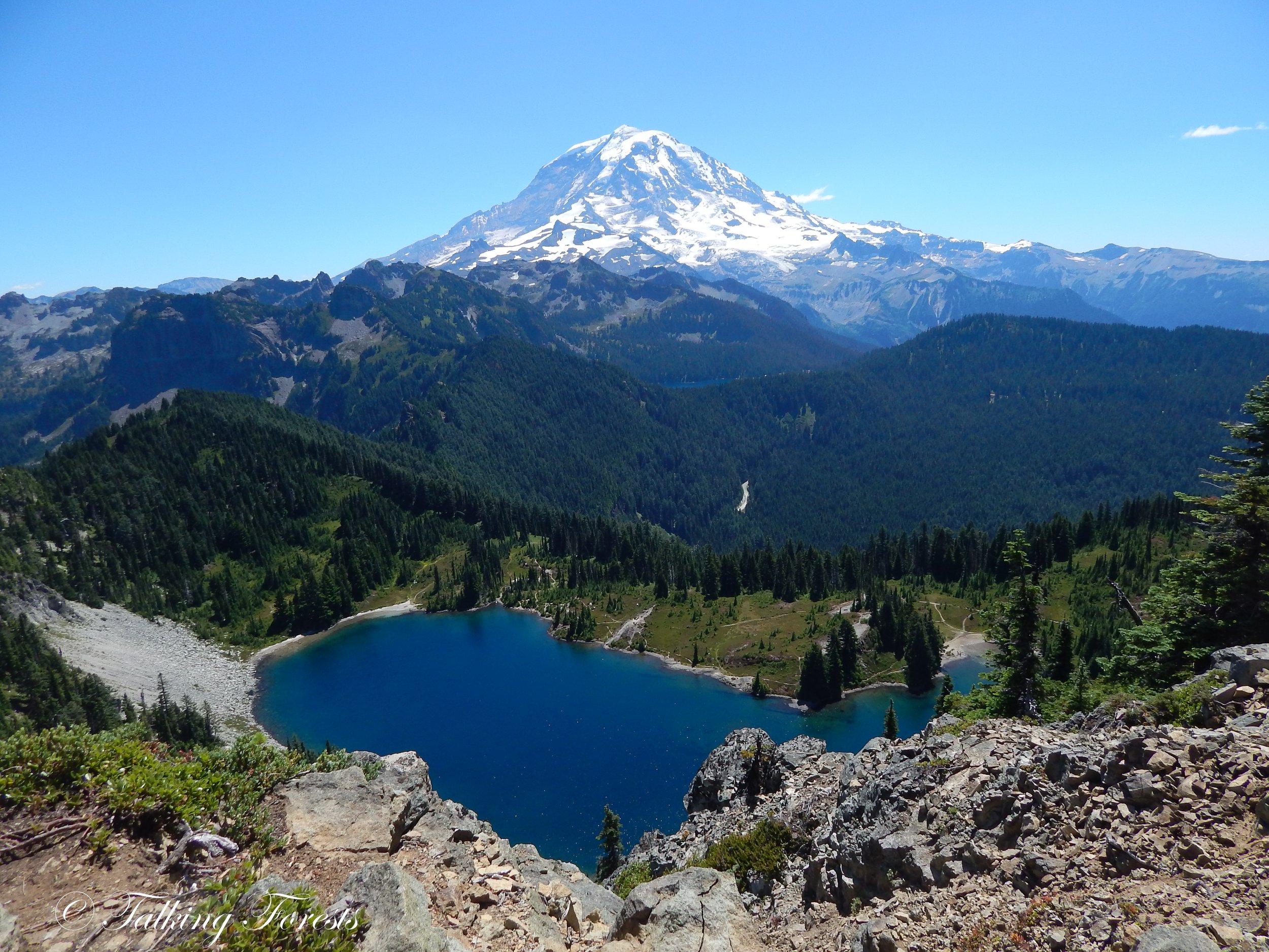 Mt. Rainier at Tolmie Peak