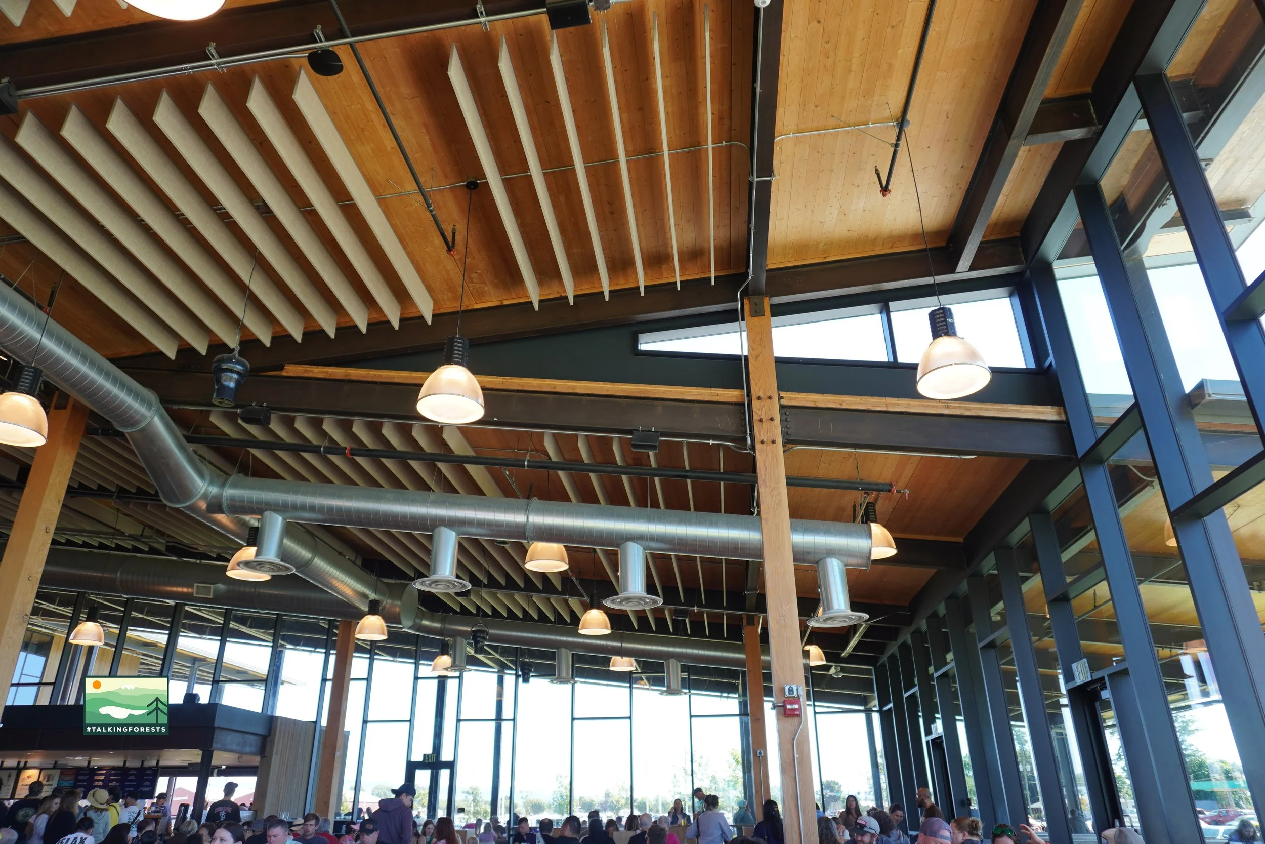 Mass Timber exposed ceilings made of cross-laminated timbers and MEP, lights hanging from the ceilings. Glulam beams and metal holding the interior of the building up.