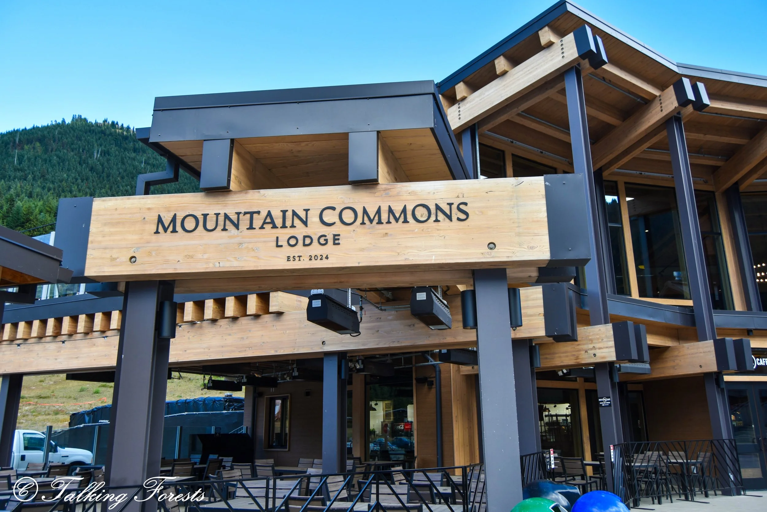 Lodge Entrance Crystal Mountain Mass Timber