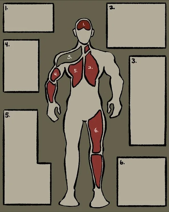 beef chart, Digital, 4.5&rdquo;x6&rdquo;, transition to Hero Pattern at the end