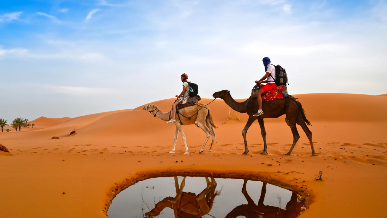 2026 Group Adventure: Morocco Unveiled