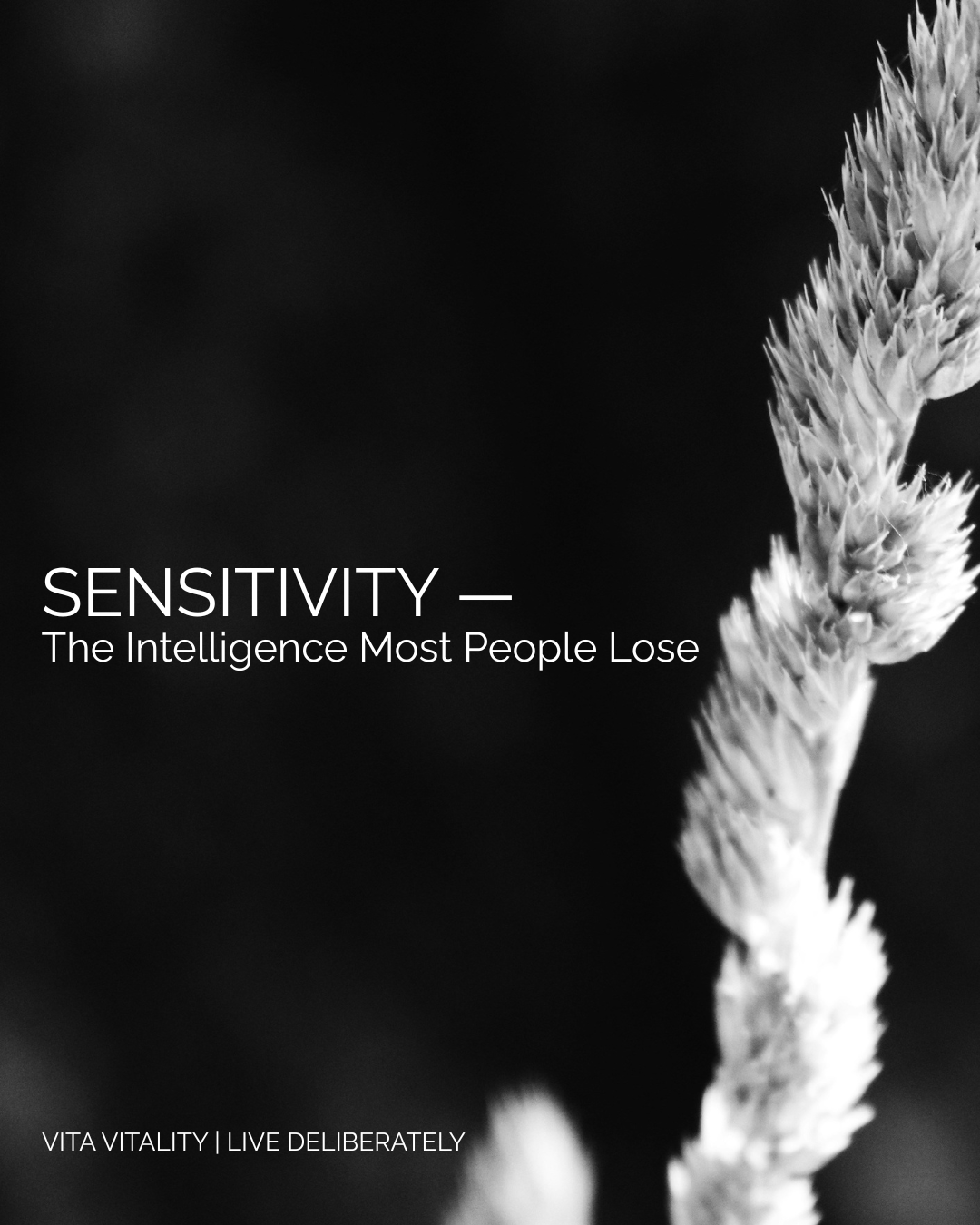 SENSITIVITY: The Intelligence Most People Lose