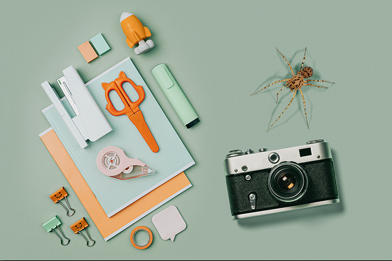 Spider on desk copy.png