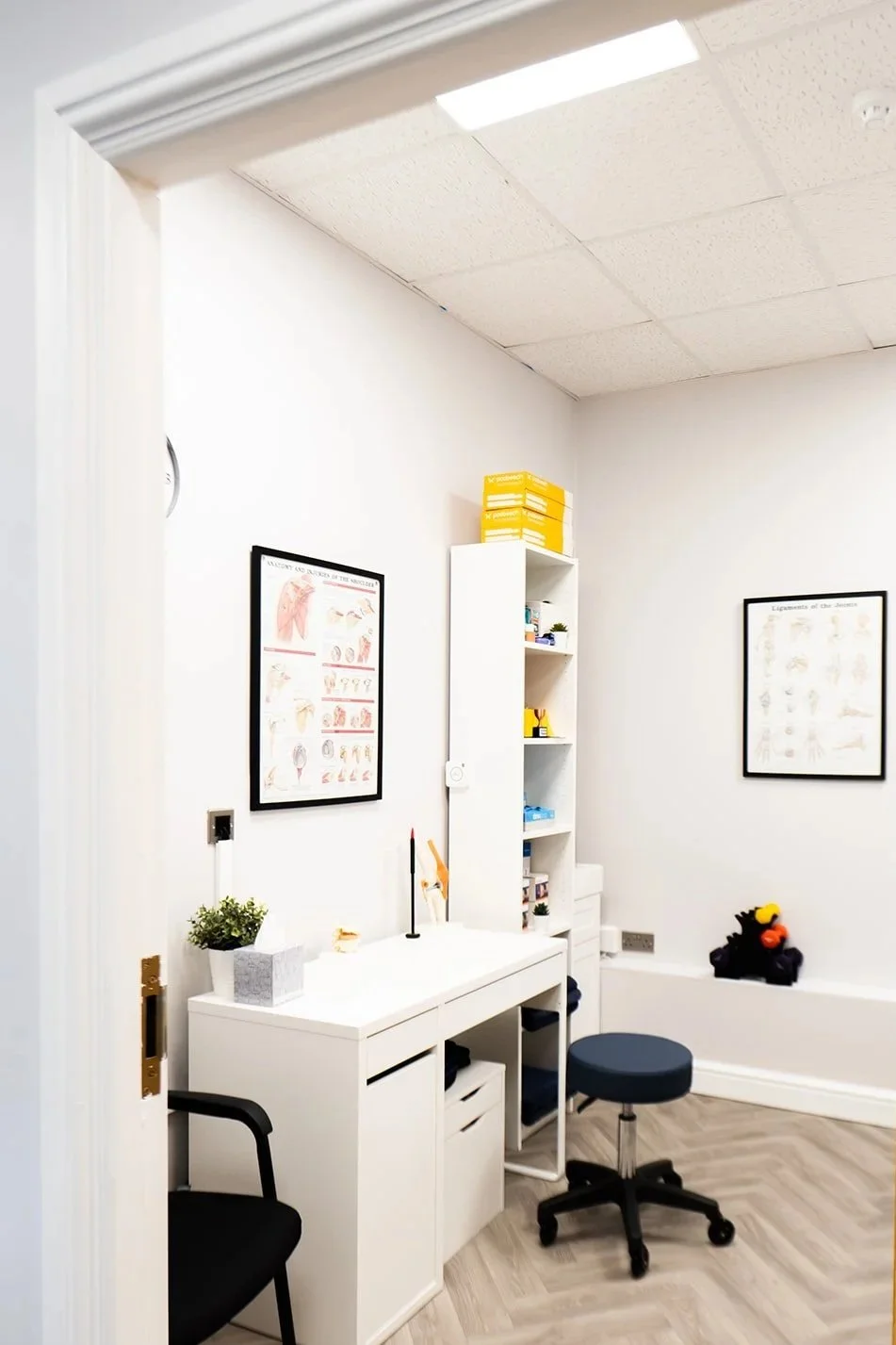A medical office examination room with white walls and ceiling, containing a white desk with a small potted plant, a chair, a black stool, and framed anatomical posters on the walls. There is a tall white shelving unit with yellow files and medical supplies. A stuffed animal is on a small bench in the corner.