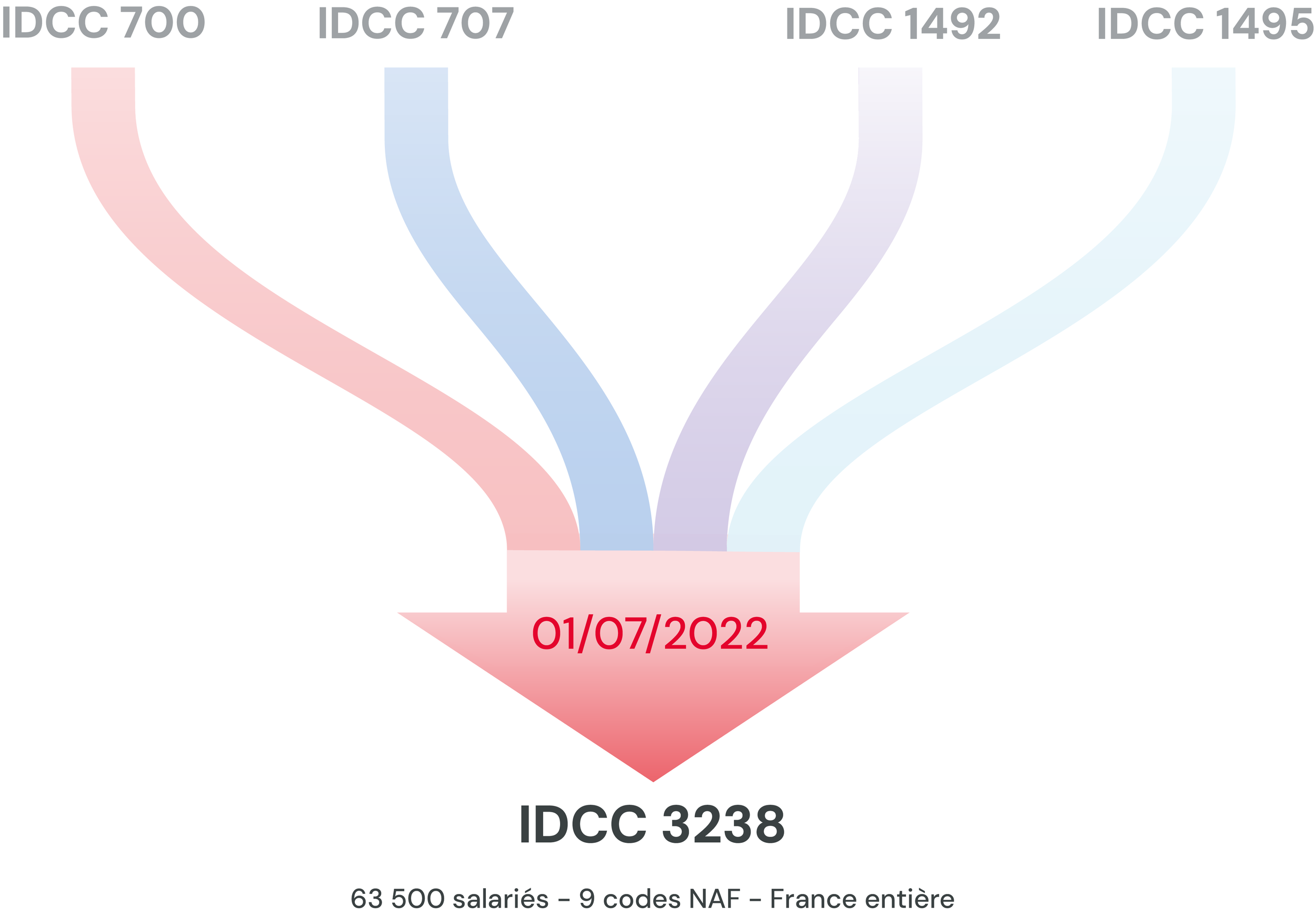 Diagramme montrant la répartition de 63 500 salariés en France en utilisant 9 codes NAF, avec une date centrale du 01/07/2022 et un code IDCC 3238.