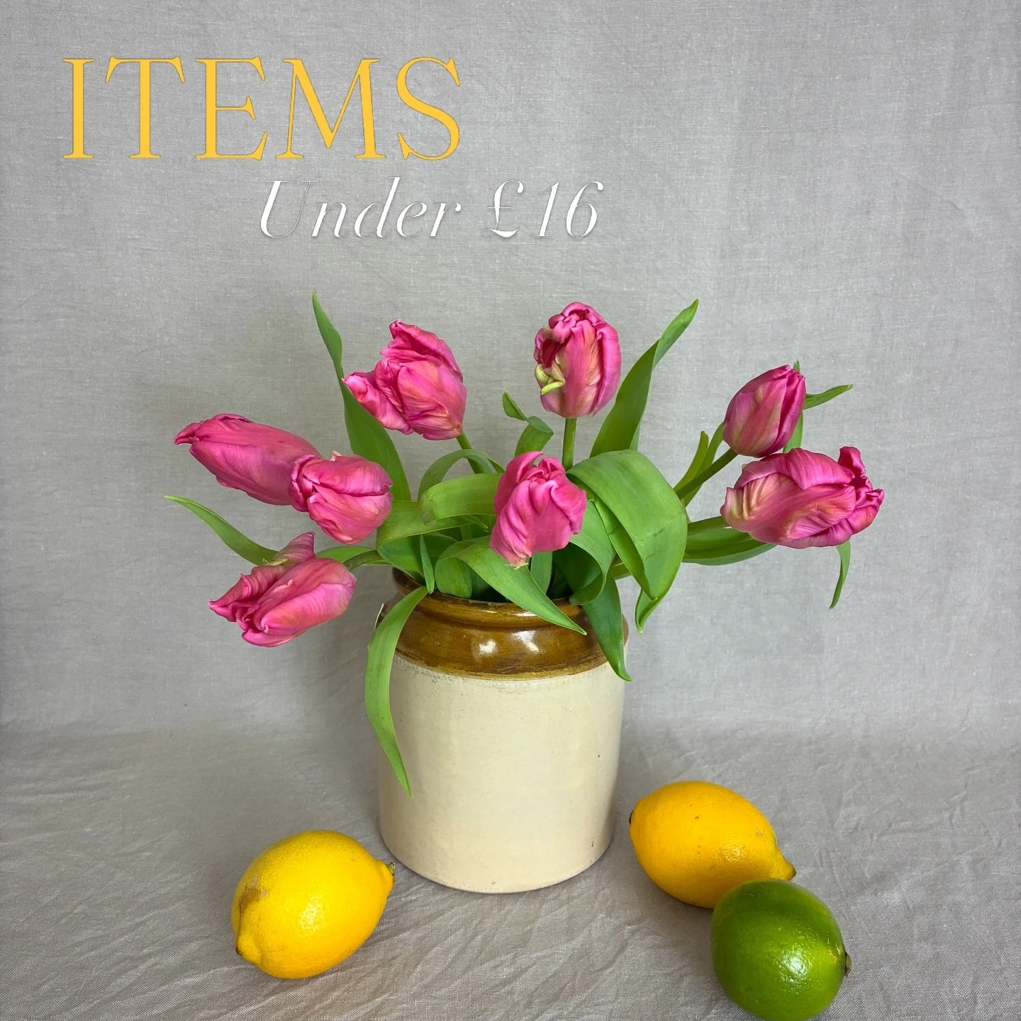 I T E M S  U N D E R &pound;16

Because finding beautiful, individual things for your home shouldn&rsquo;t involve paying top dollah&hellip;

These items are &pound;16 and under and just as cool as the expensive stuff. Those salt and pepper shakers, 