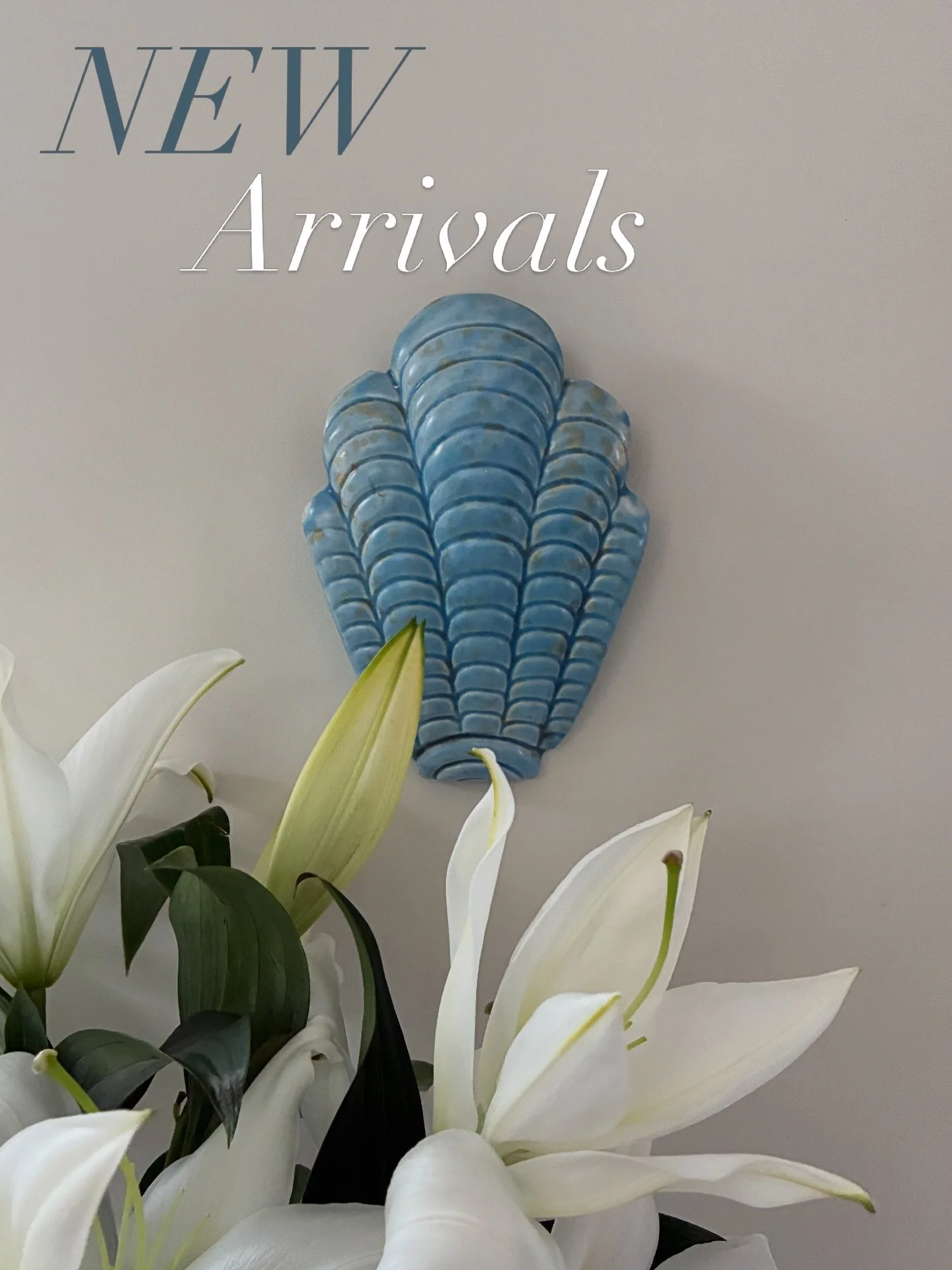 N E W  I N 

Check out the latest drop of vintage pieces now live&hellip; and consider yourself warned. I went down a Shorter &amp; Sons rabbit hole because I&rsquo;m a little bit obsessed with how much character can be packed neatly into a piece of 