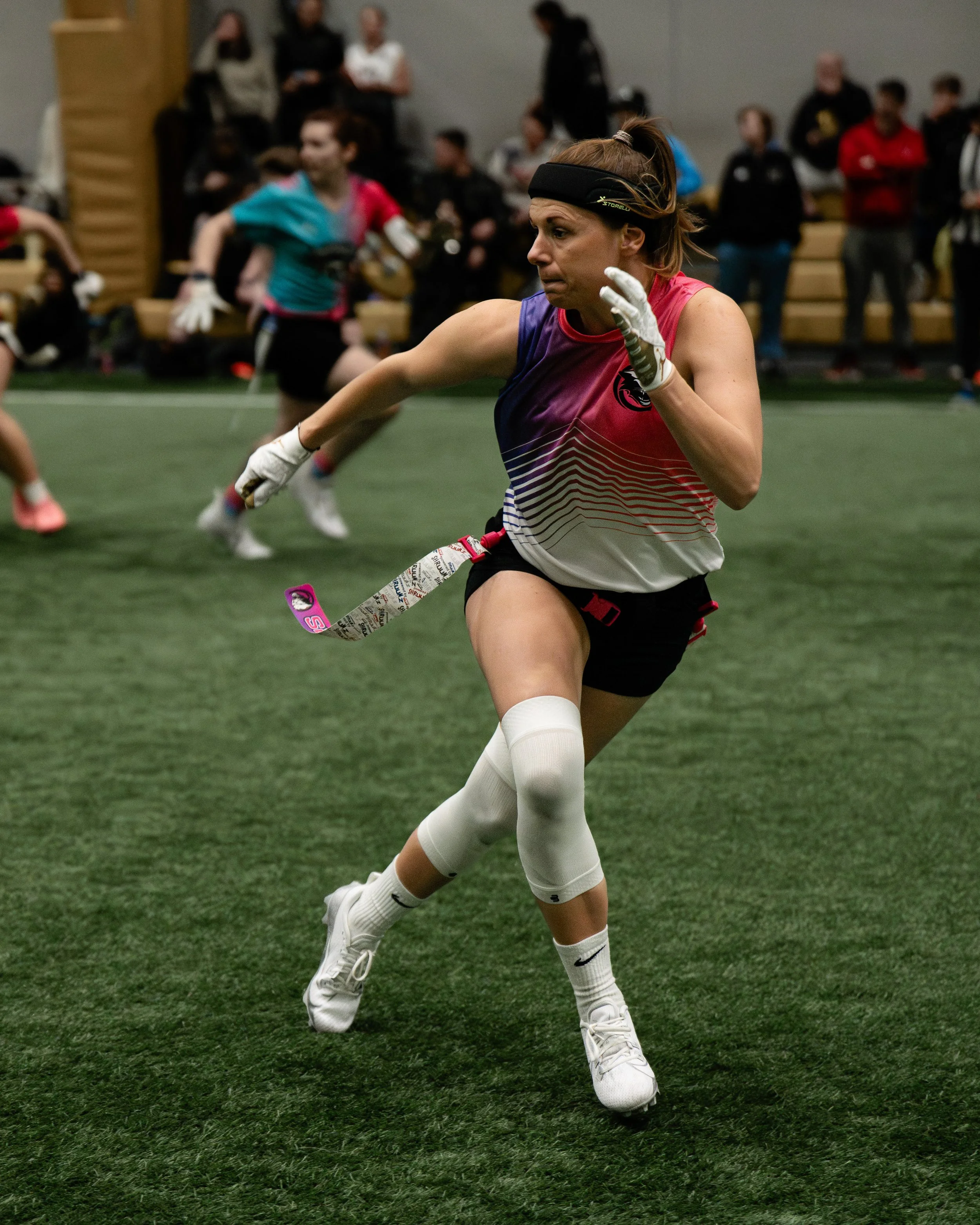 A stylized logo of a fierce-looking big cat's head, possibly a panther or cougar, in dark blue and white.