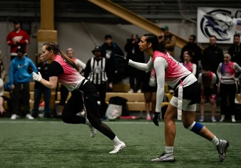 Stylized logo of a snarling wildcat's head in navy blue and white